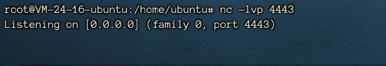 image-20211202104656362